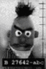 Bert is Evil!