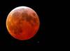 *lunar eclipse from my backyard*