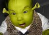 Sexy baby Shrek