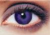 Purple Contact Lenses