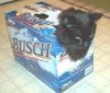 Cat Beer