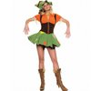 Sexy  Scarecrow Costume