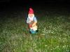 lone knome 