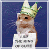 You're The Cutest!