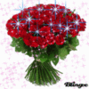Sparkling 100 Red Roses