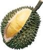 Durian - King of Fruits