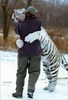 White Tiger Hugs