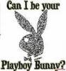 Can I be your Playboy Bunny?