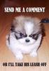 evil dog comment