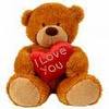 I love you teddy