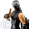 Ninja Gaiden 'Ryu' Figurine