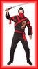 'Hero' Male Ninja Costume