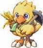 Chocobo ?