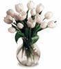 White Tulips