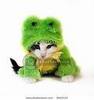 pet costume - froggilicious