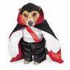 pet costume - dracula 