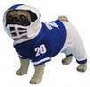 pet costume - football player