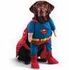 pet costume - The SuperPet