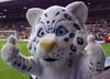 Lucas Leeds United Cat