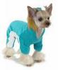 Jogging pet suit