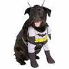 Batman pet!