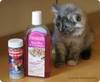 Cat Shampoo