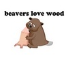 beavers love wood