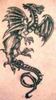Mystery Dragon Tattoo