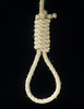 Noose