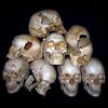 A Pile of Human Skulls