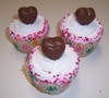 Chocolate + vanilla cupcakes