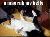 Rub my belly