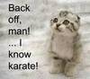 Back Off I know Karate 