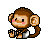 a baby monkey pet