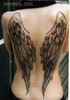 Angel wings for a day! [Ox]