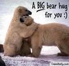 bear hug for u!