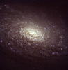 The Sunflower Galaxy