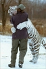 Tiger Hug, lol