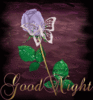 A Good Night Wish