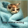 Save the Kitties: Stop the Tests