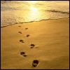 Leaving footprints on your page