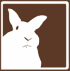 Your Own Disapproving Rabbit
