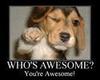 you're awesome