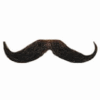 A Distinguished Moustache