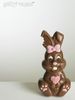 a chocolate bunny