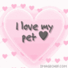 love my pet 2 ...
