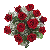 A dozen of roses