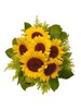 Sun Flowers Bouquet