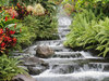 a relaxing dip in a waterfall