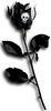 a gothic rose